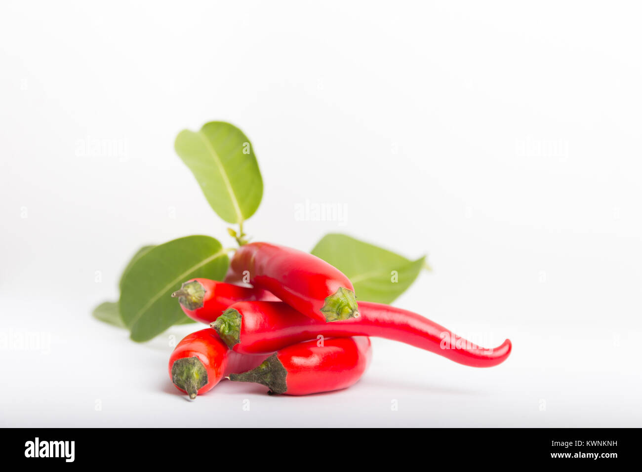 isolated red chili peppers on a white background Stock Photo - Alamy