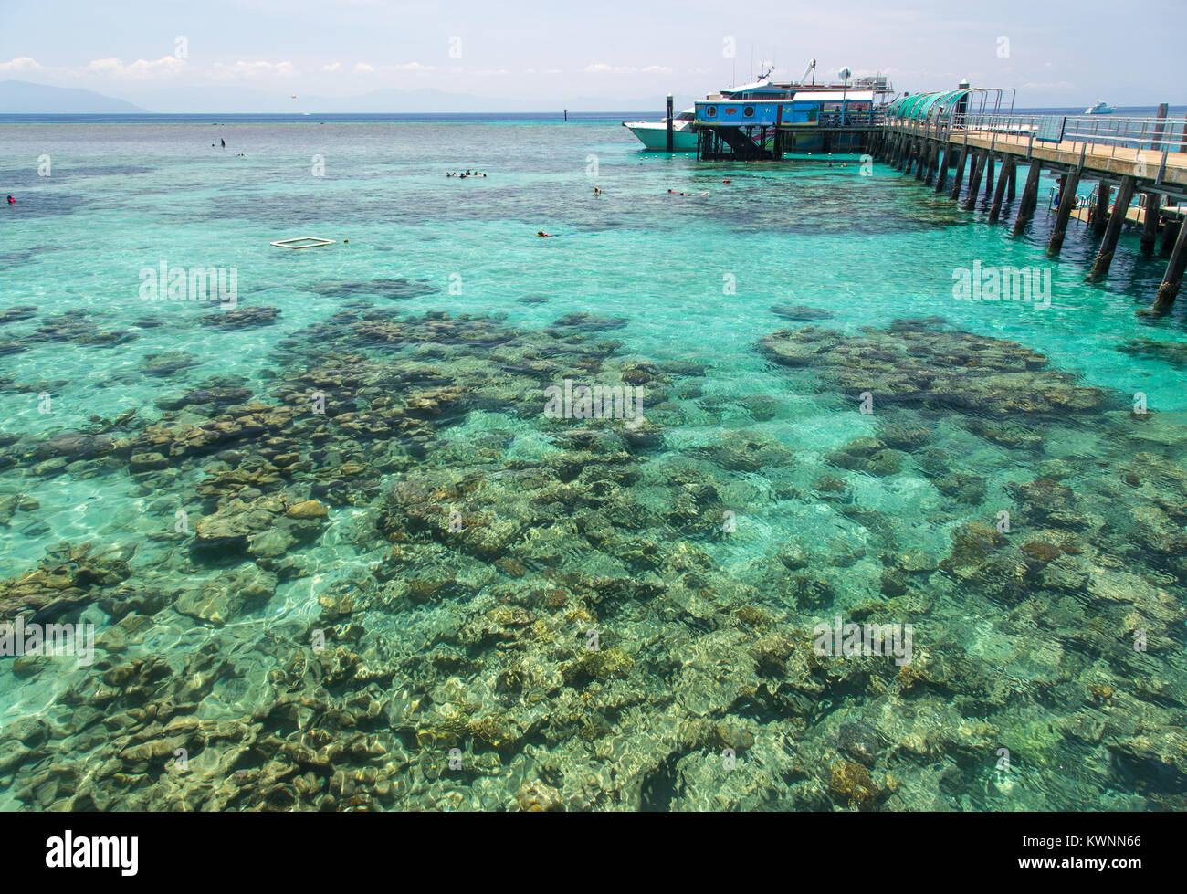 Green Island jetty Stock Photo Alamy