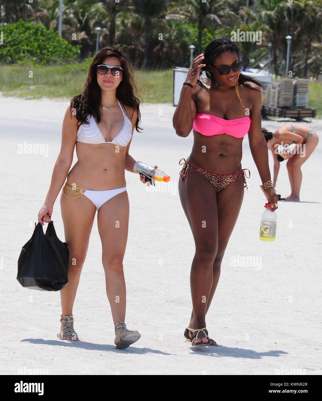 31+ Serena Williams Husband Swimming PNG