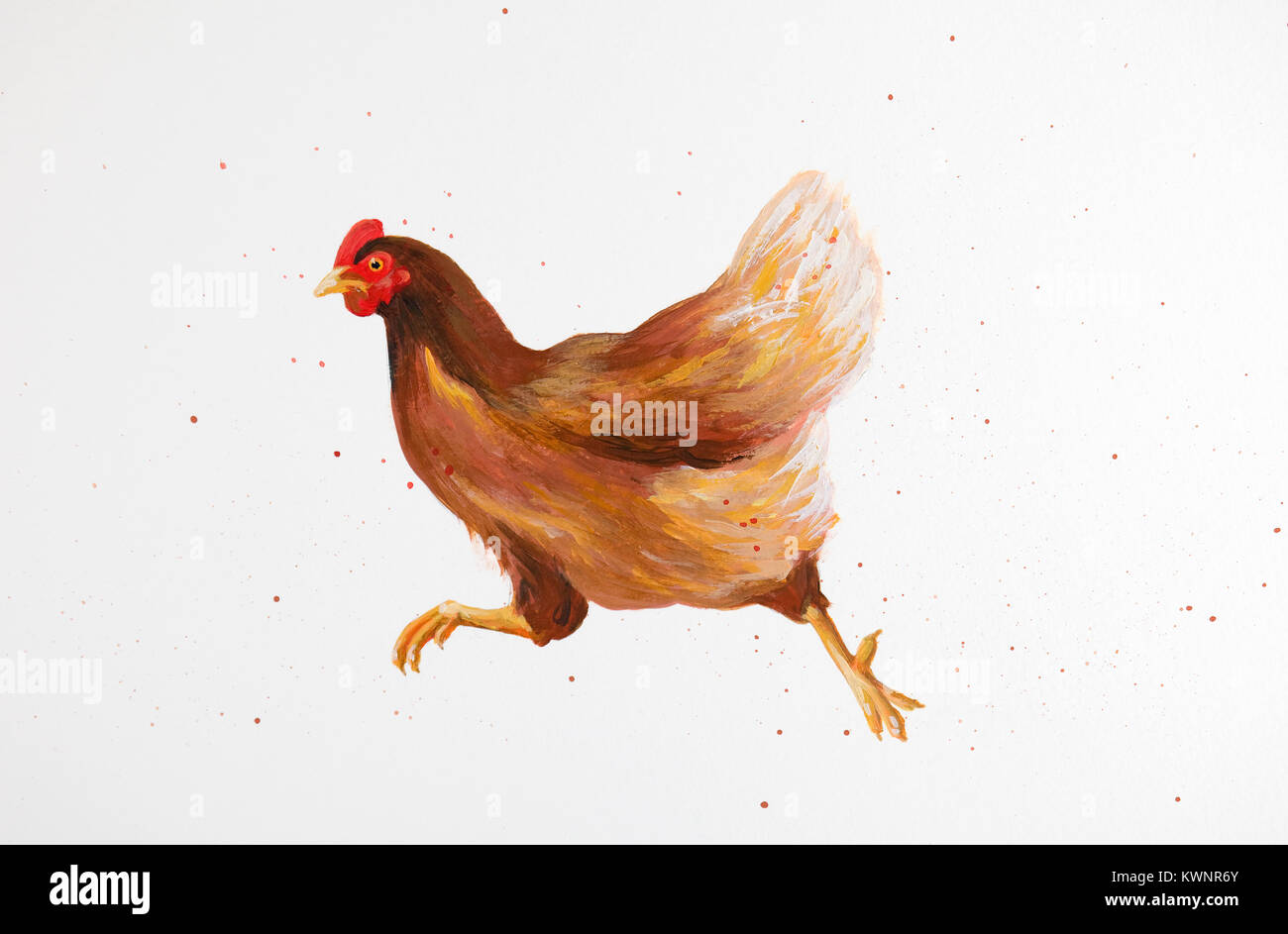 Rooster With Hens And Chicks High Resolution Stock Photography and