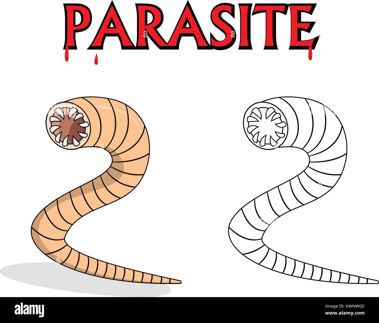 Parasitic nematode worms in outline and vector cartoon design Stock Vector