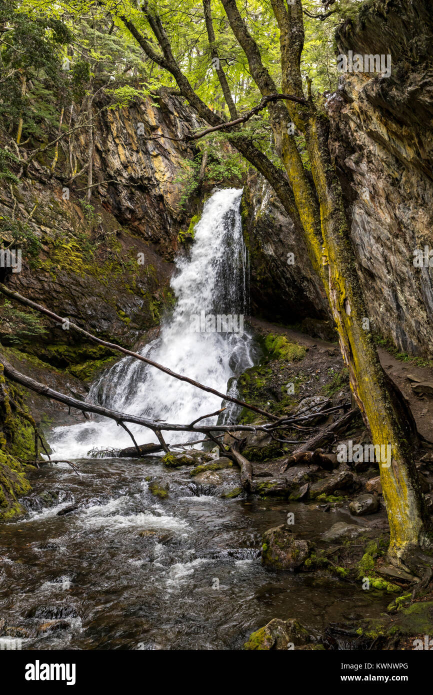 Sendero a la Cascada Velo de la Novia; Path to the Velo de la Novia Waterfall; Ushuaia; Argentina Stock Photo