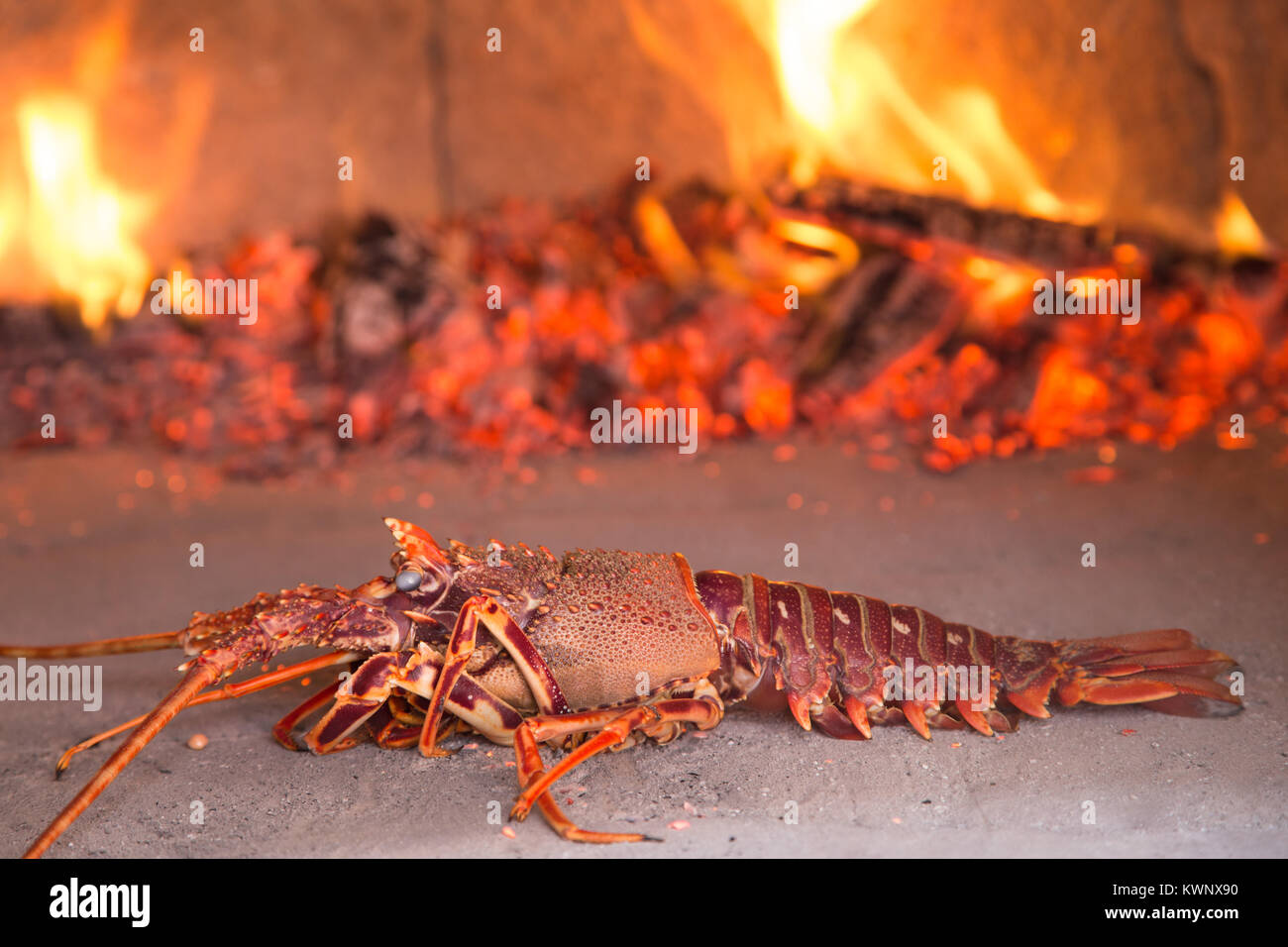 Lobster in the wooden oven, restautant Croatia Stock Photo Alamy