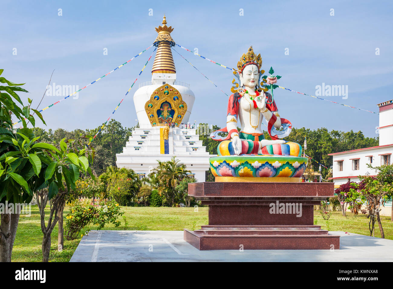 100 square feet hi res stock photography and images alamy