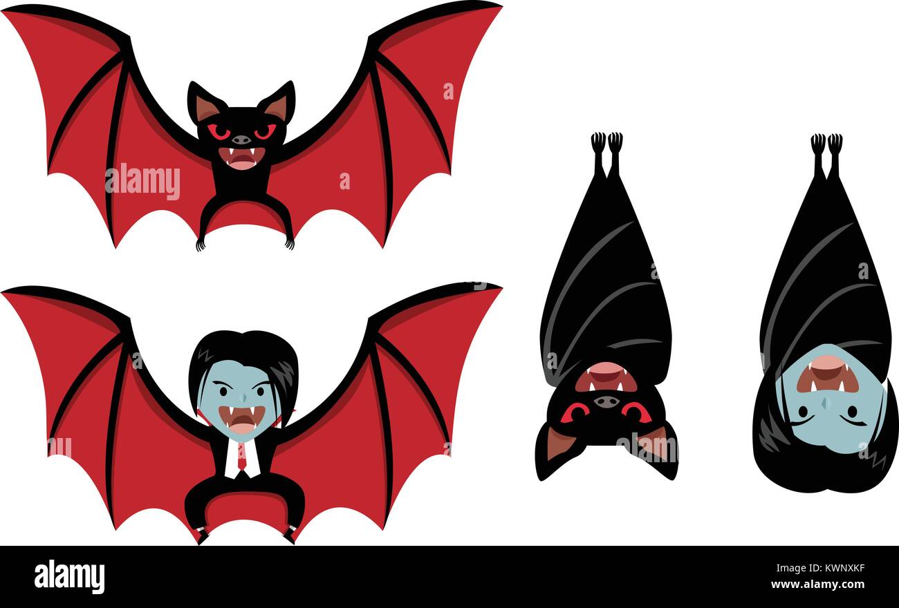 Vampire bat and Dracula on white, vector cartoon design Stock Vector