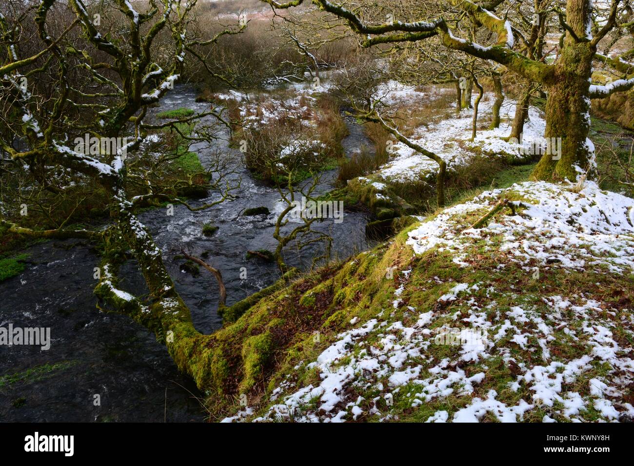 River Loughor near its source in winter   Black Mountain Brecon Beacons National park Fforset Fawr Geopark Carmarthenshire Wales UK Stock Photo