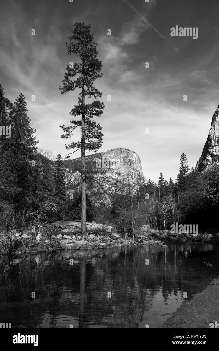 Landscape tree view mountains Black and White Stock Photos & Images - Alamy
