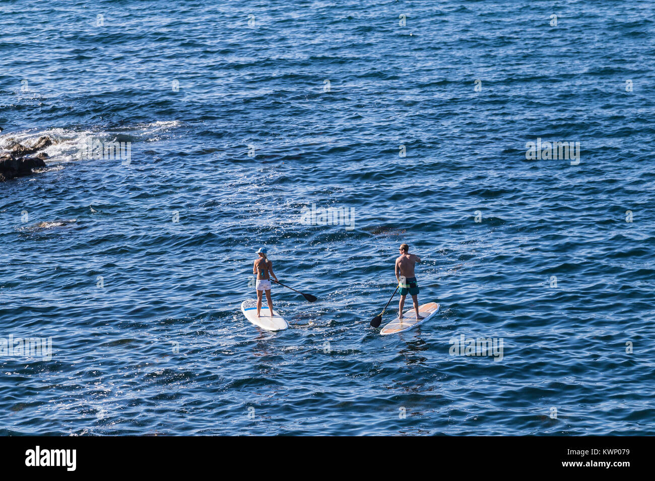 paddle boarding la jolla cove san diego ca us Stock Photo