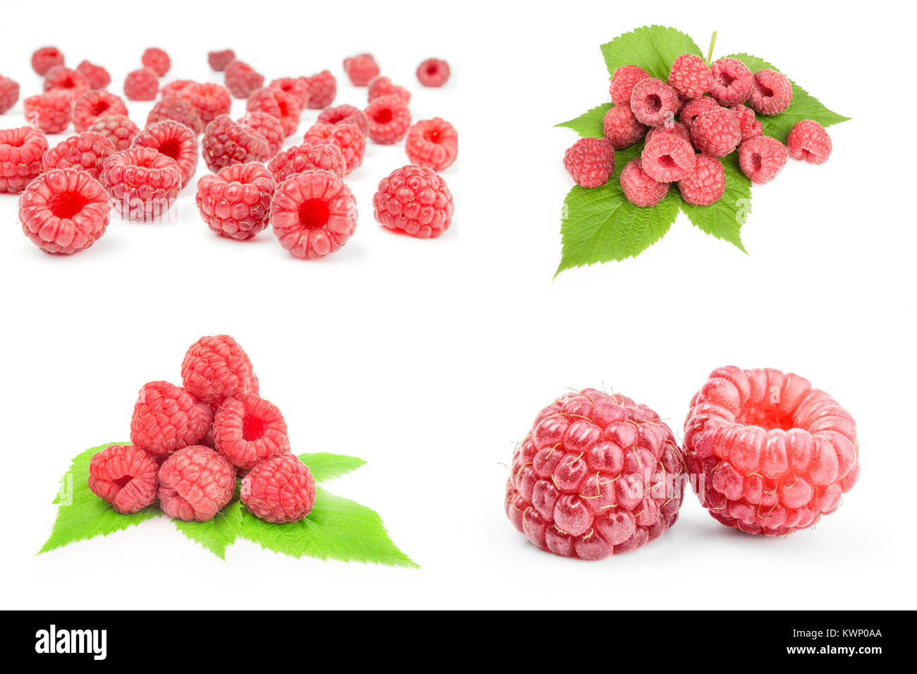 Group of raspberries with leaves isolated on white Stock Photo Alamy