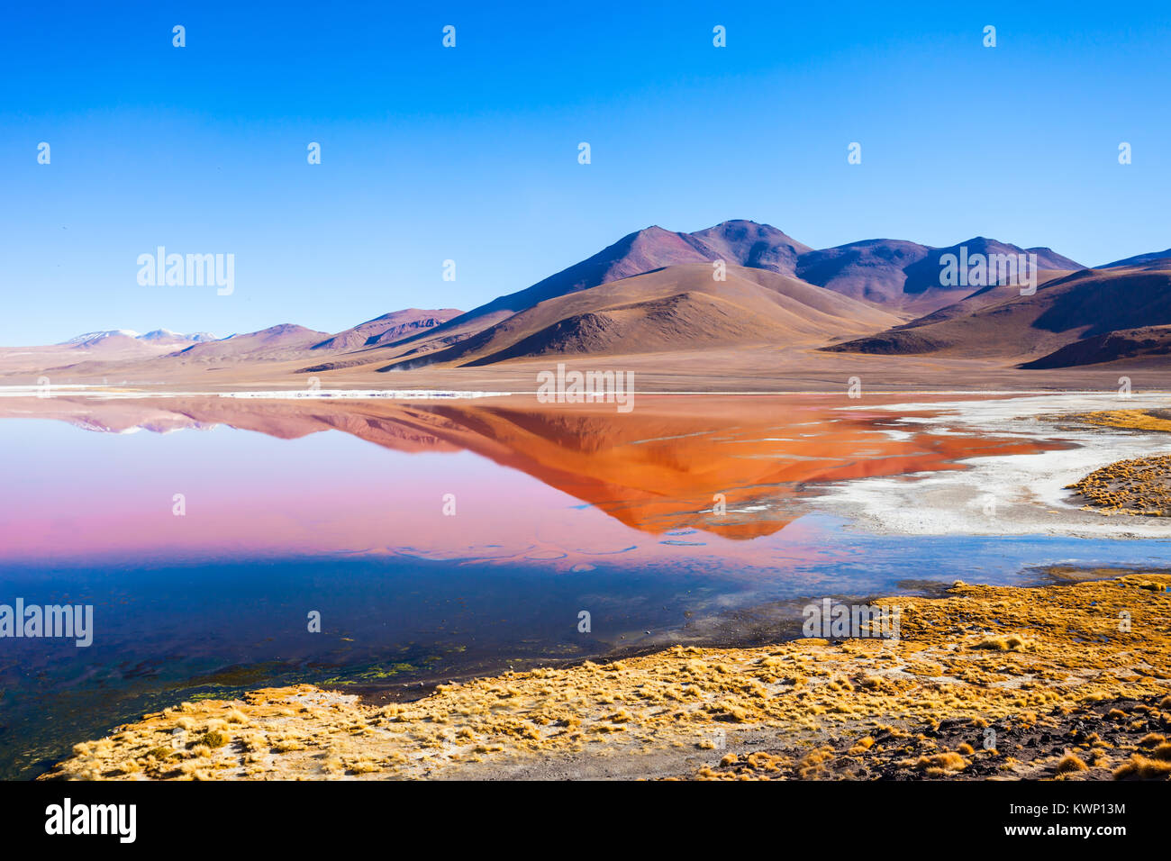 Laguna means Red Lake is a shallow salt lake in the southwest of the Altiplano of Bolivia Stock Photo - Alamy