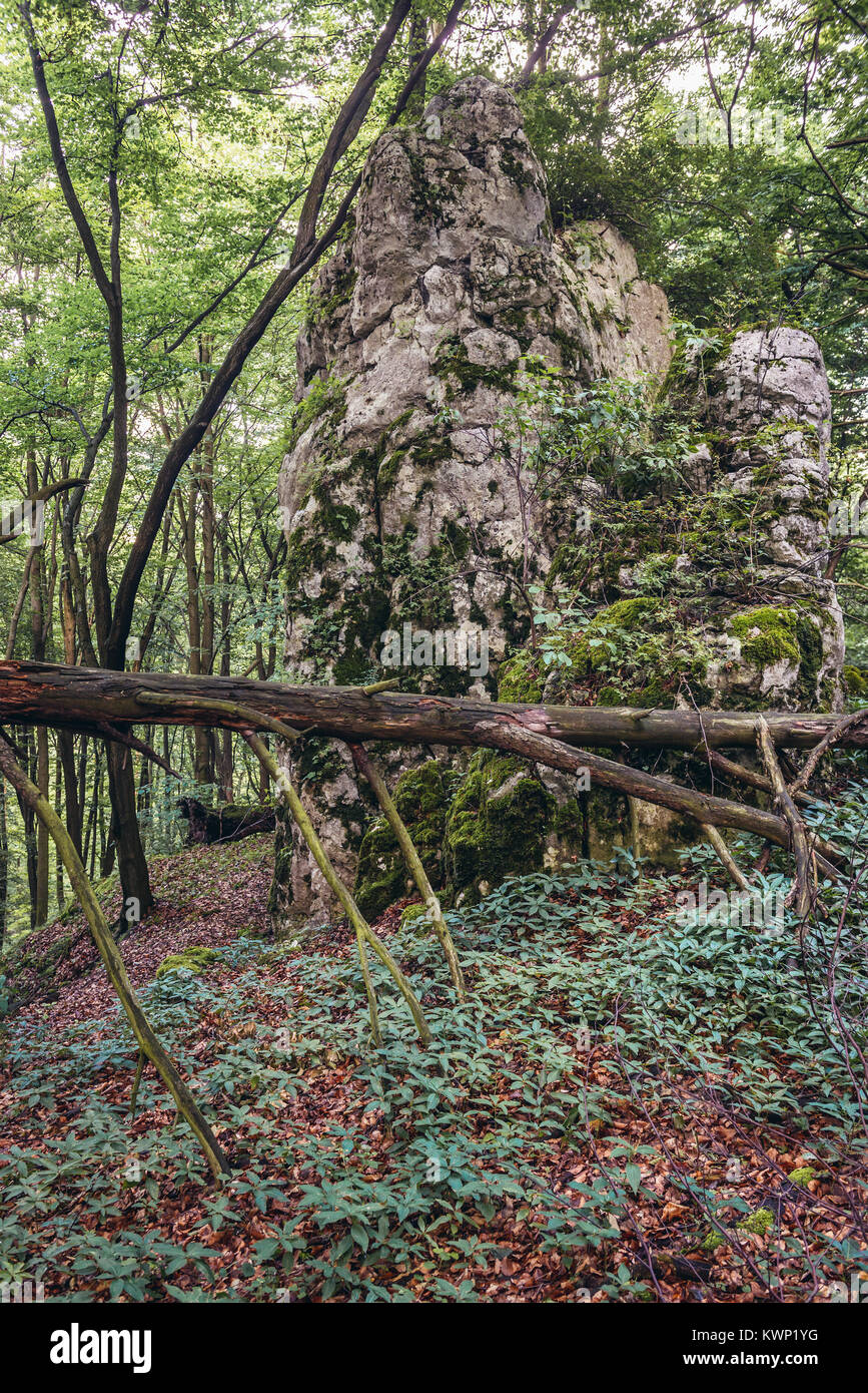Limestone rocks in Nature Reserve Sokole Gory (Falcon Mountains