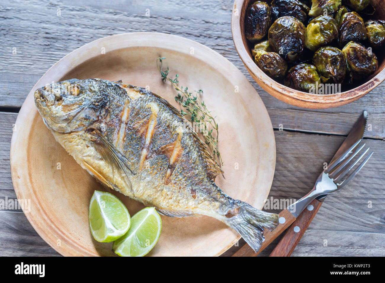 Dorade Royale Fish Stock Photo - Alamy