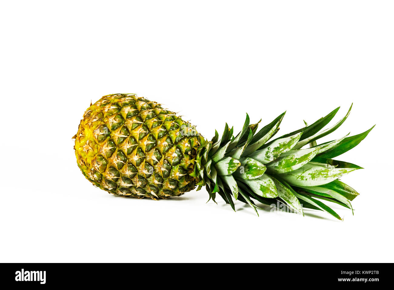 A large ripe pineapple lies on a white background Stock Photo