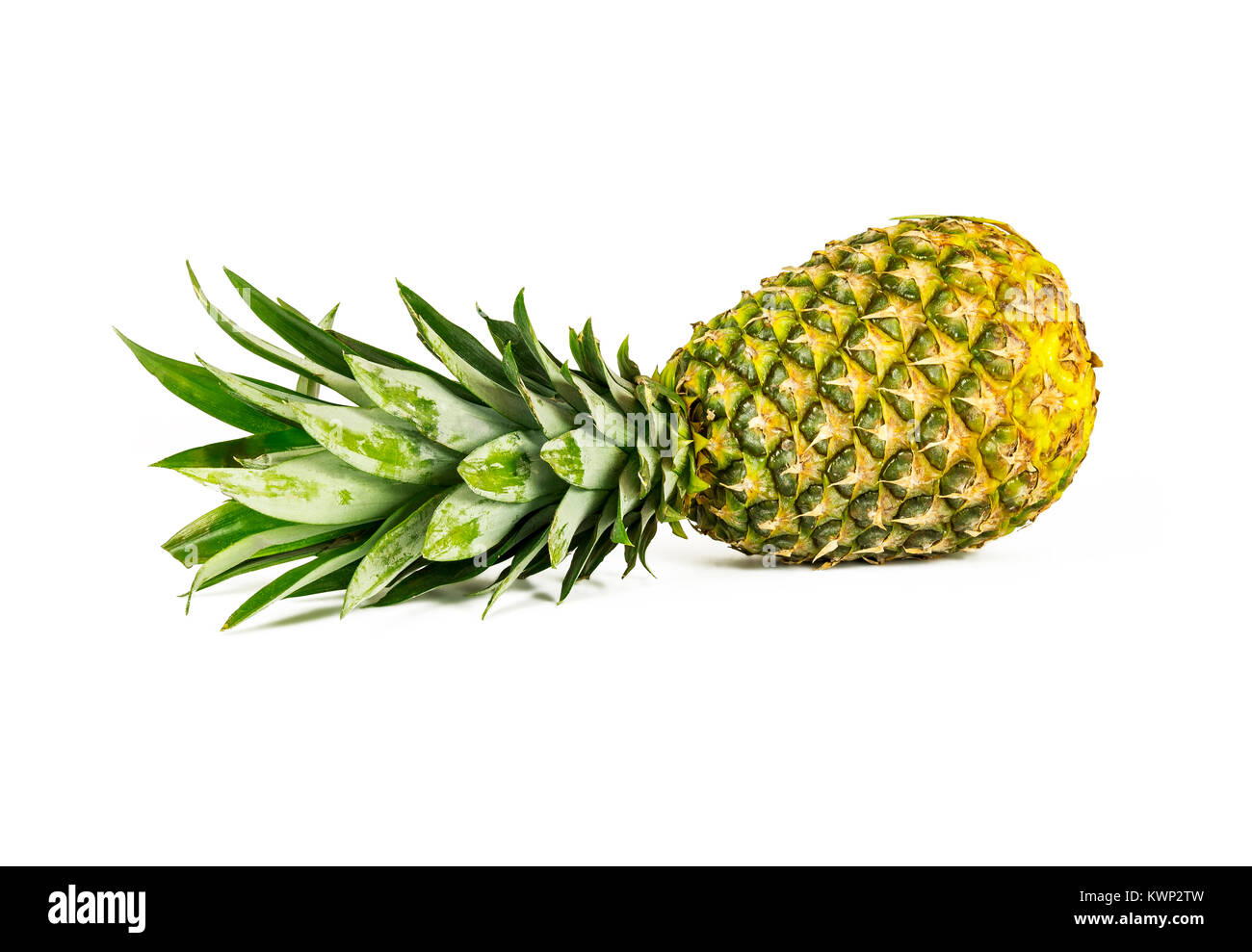 On a white background is a large ripe pineapple Stock Photo
