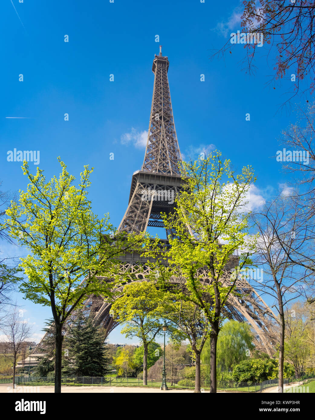 Paris, Eiffel tower on a bright day in Spring with green trees and leaves in front, panoramic image Stock Photo