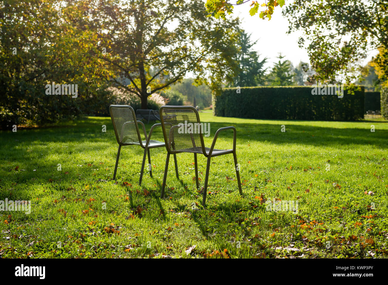 Two empty metal chairs among fresh greenery in a park Stock Photo - Alamy