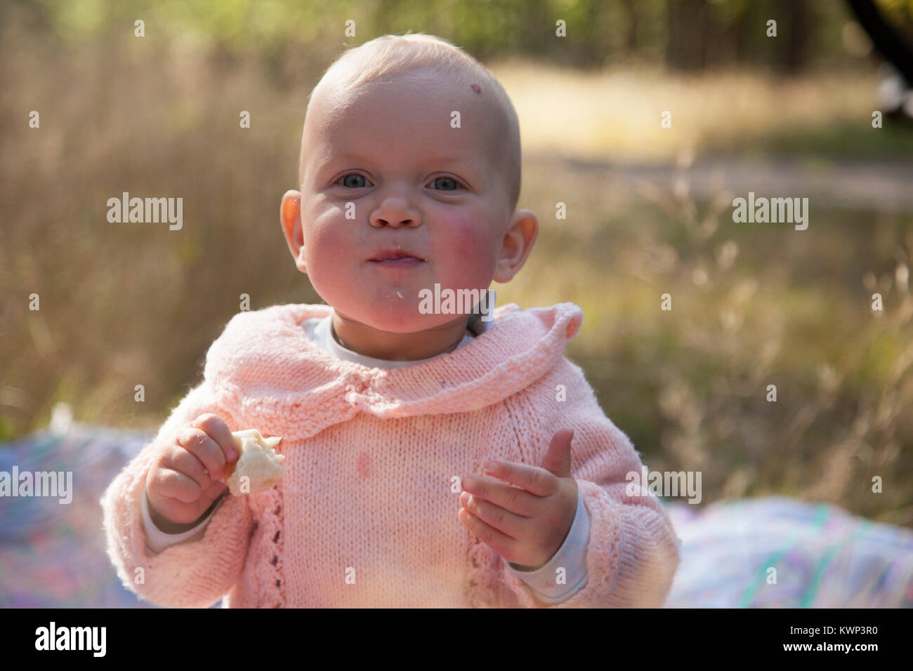 Baby girl dressed in pink sweater eating white roll and smiling. Stock Photo