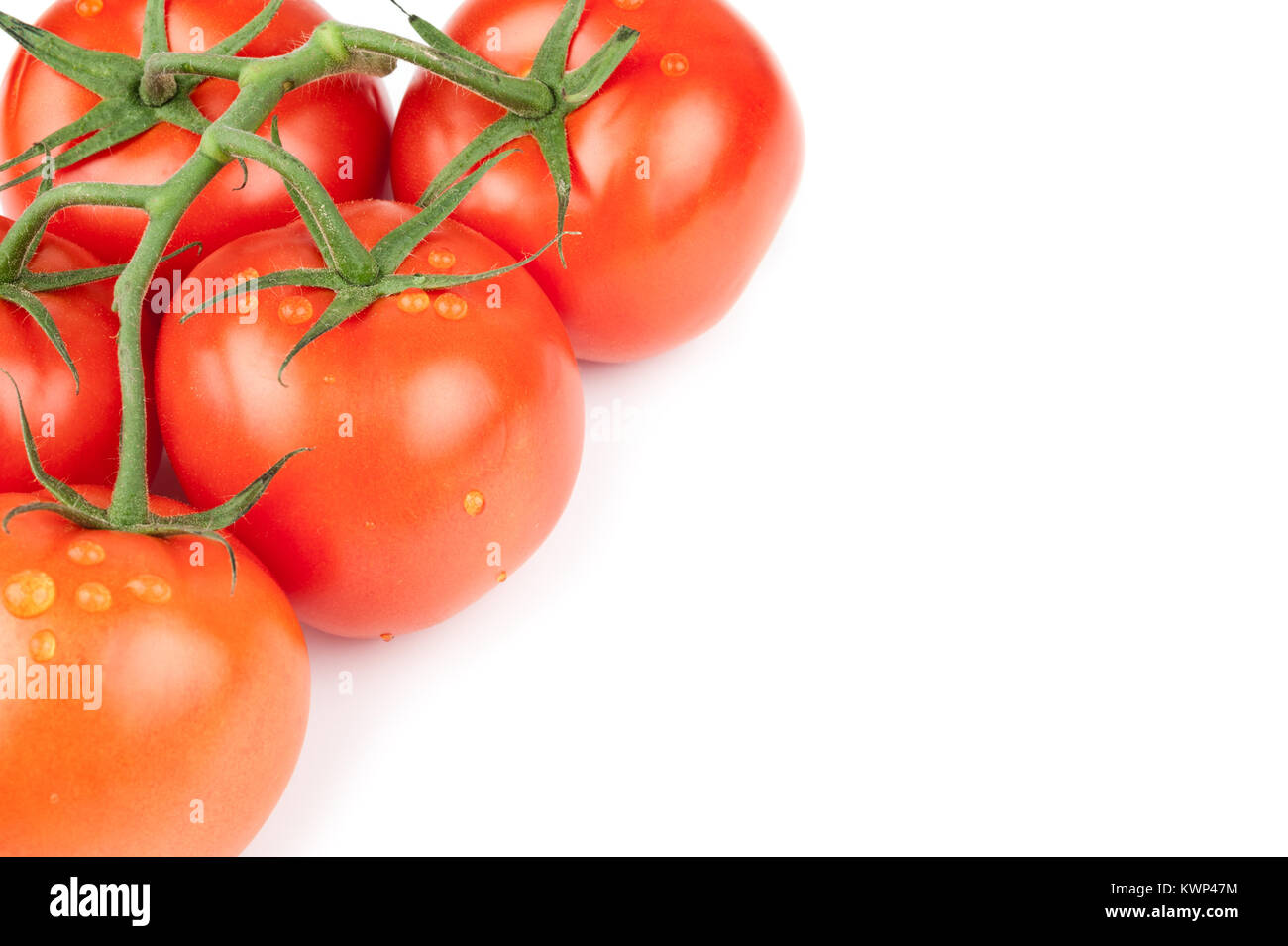 Closeup on fresh tomatos on white background Stock Photo - Alamy