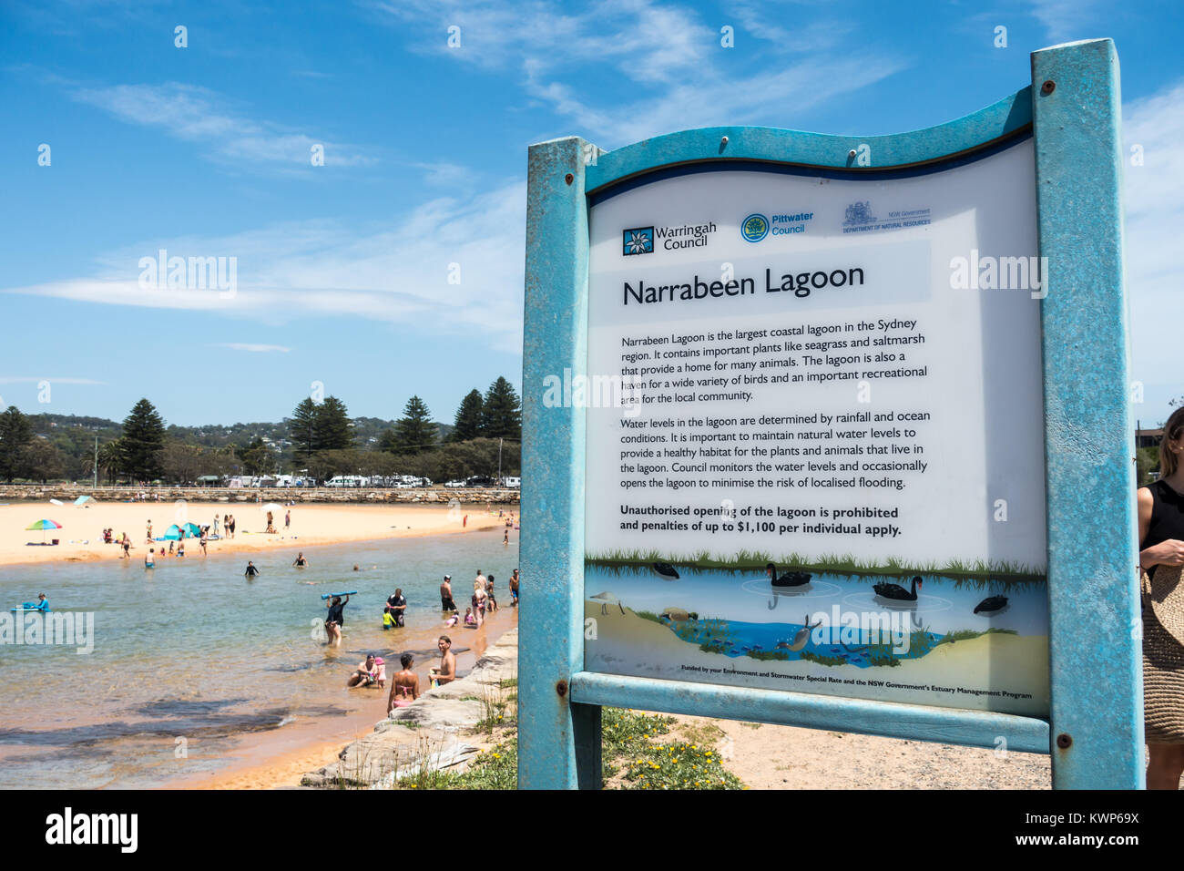 Sign explaining ecosystem of Narrabeen Lagoon at Sydney's northern beaches, Australia. Stock Photo