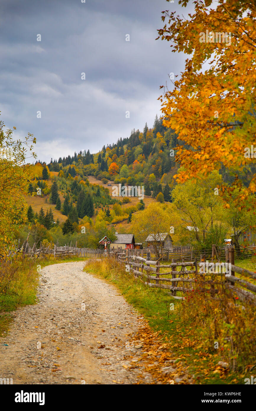 Autumn scenery landscape with colorful forest, wood fence and rural road in Prisaca Dornei, Suceava County, Bucovina, Romania Stock Photo