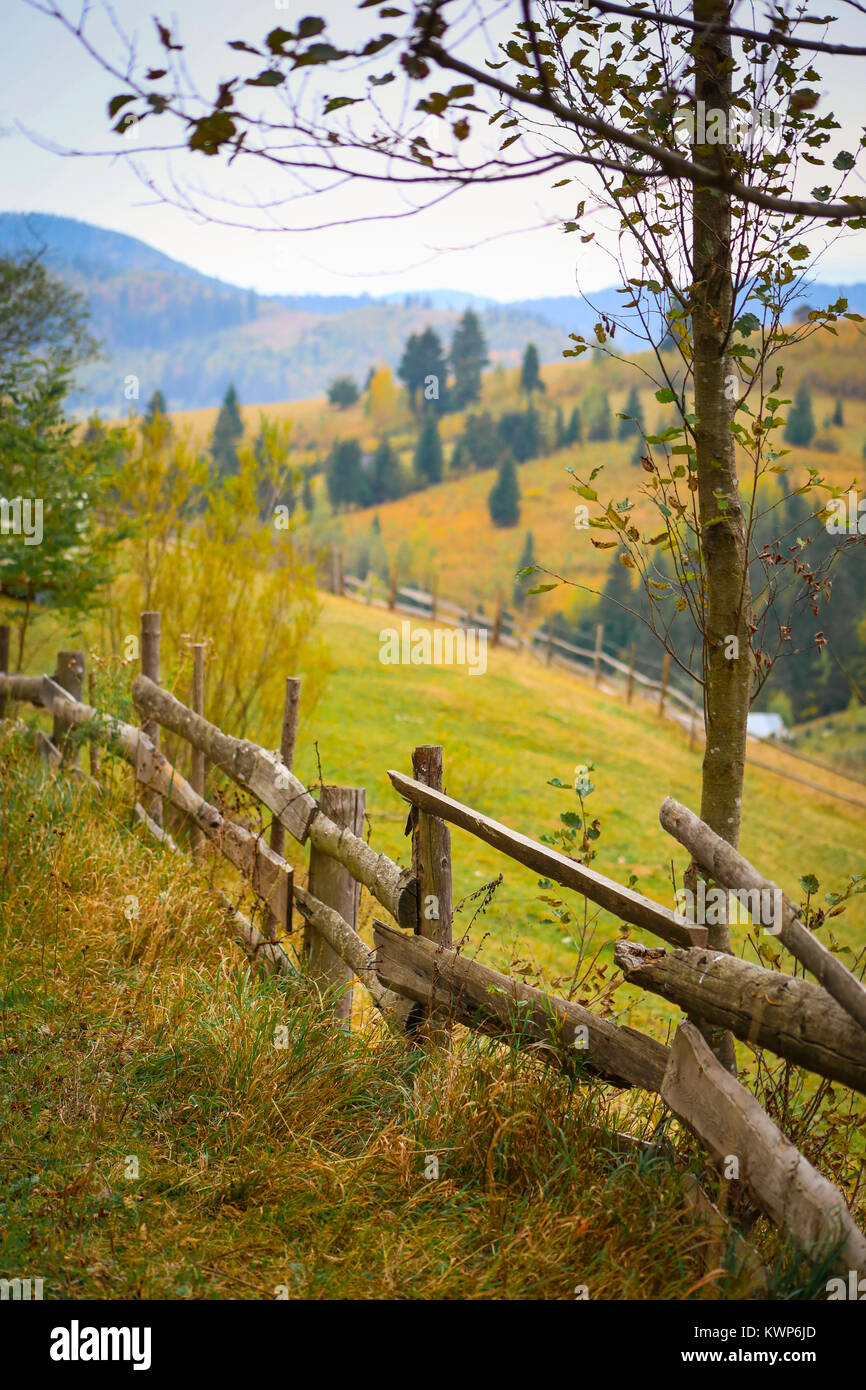 Autumn scenery landscape with colorful forest, wood fence and hay barns in Prisaca Dornei, Suceava County, Bucovina, Romania Stock Photo