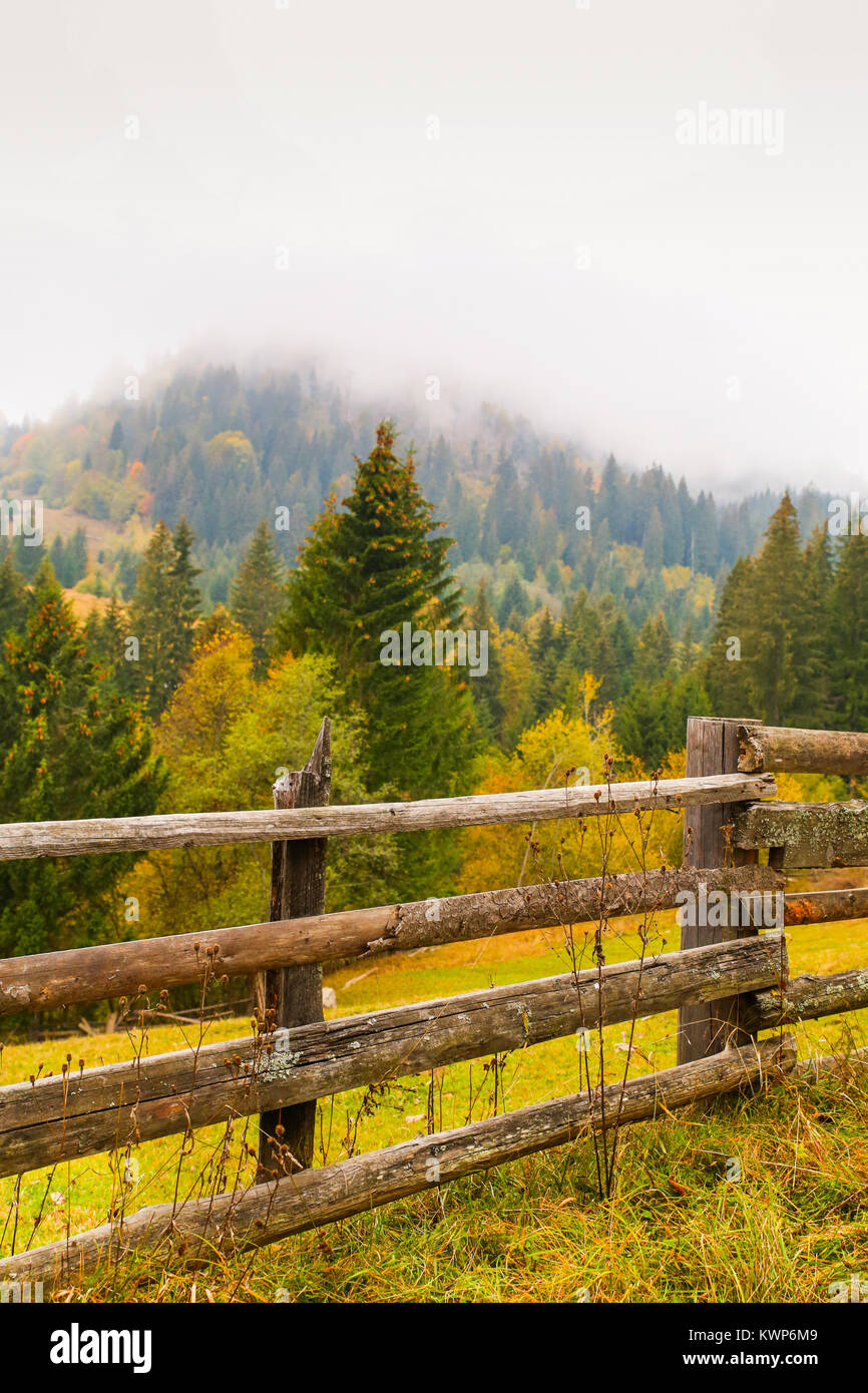 Autumn scenery landscape with colorful forest, wood fence and hay barns in Prisaca Dornei, Suceava County, Bucovina, Romania Stock Photo