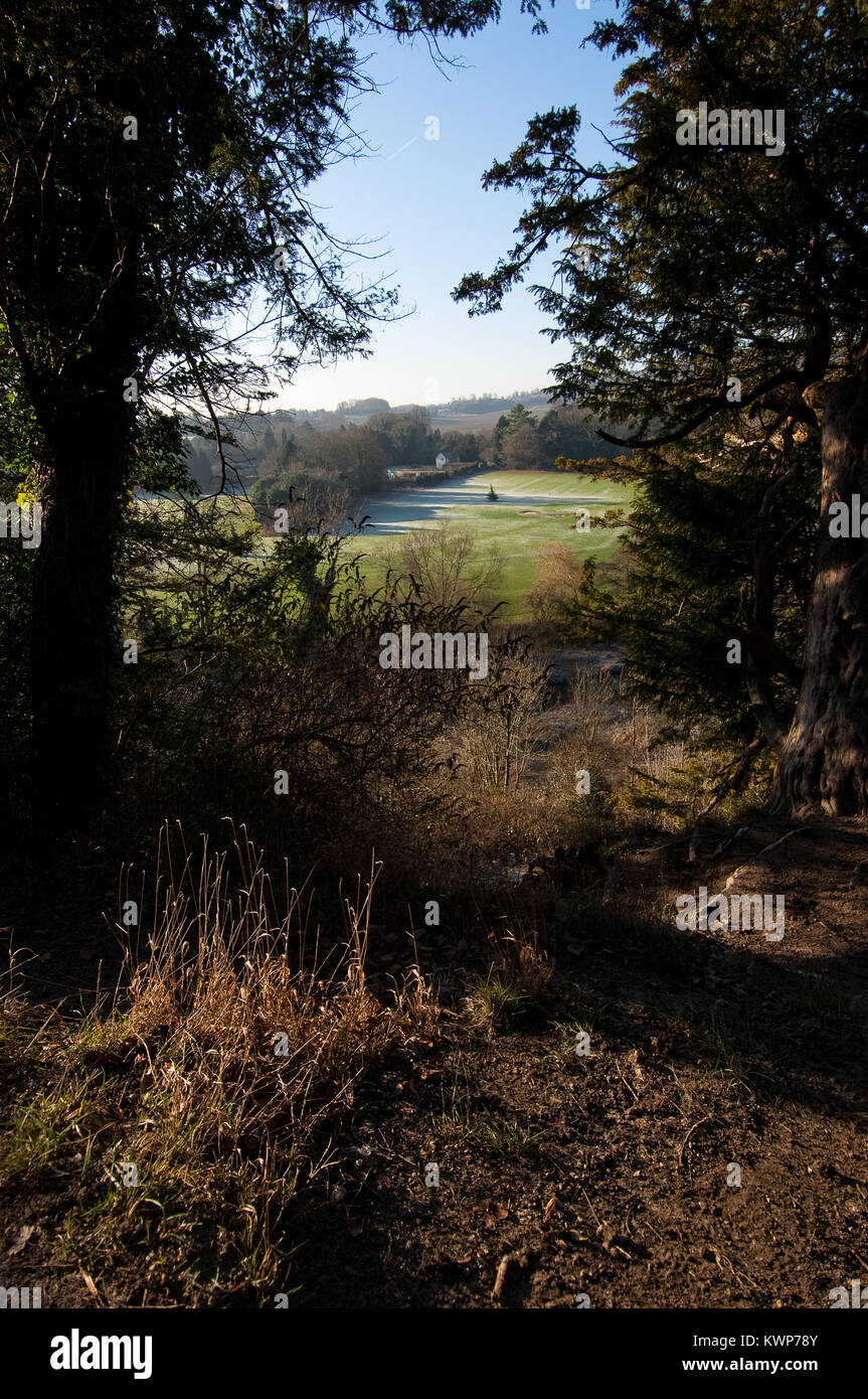 Frost is visible on a distant golf course, seen between trees in Surrey, England Stock Photo
