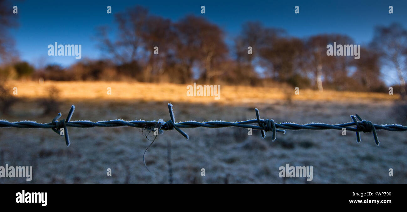 Delicate crystals of frost decorate a barbed wire fence as the Sun creeps across the field behind. Stock Photo