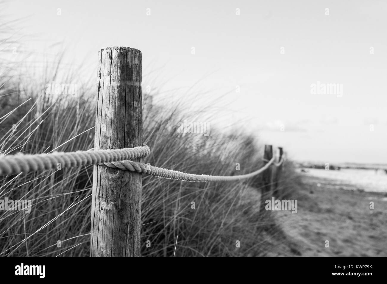 Beach Fence Post and Beach Grasses Stock Photo