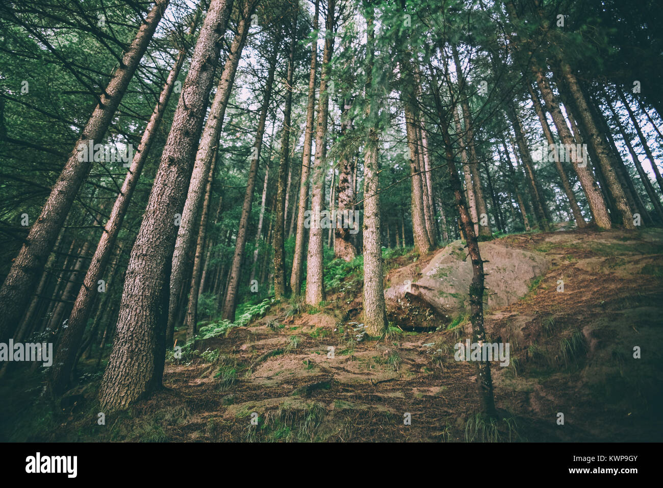 Low angle beautiful mountains hi-res stock photography and images - Alamy