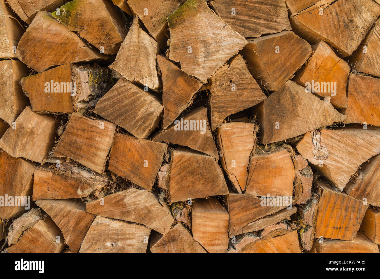 colony survival firewood colony survival firewood