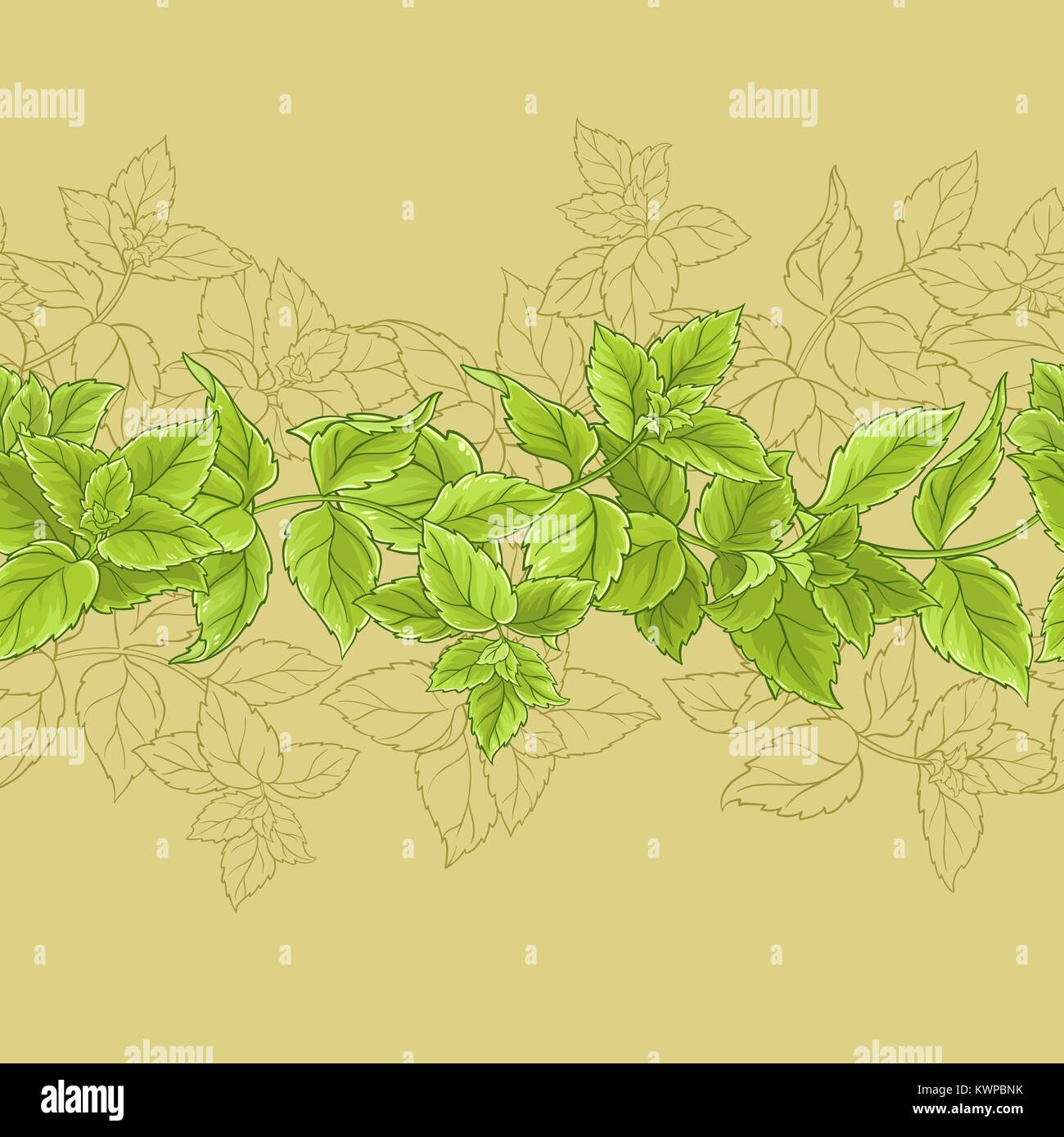 peppermint vector seamless pattern on color background Stock Vector