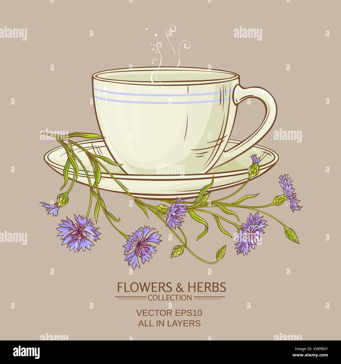 cup of corn flower tea on color background Stock Vector