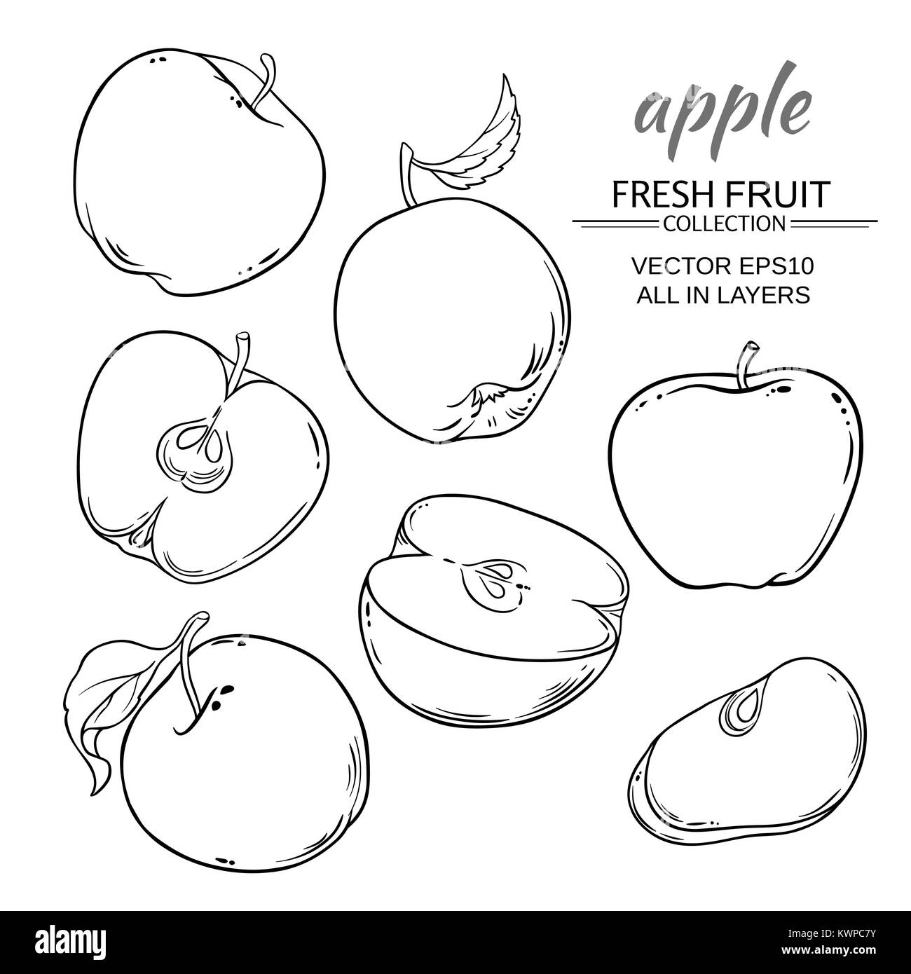 set of vector apples on white background Stock Vector