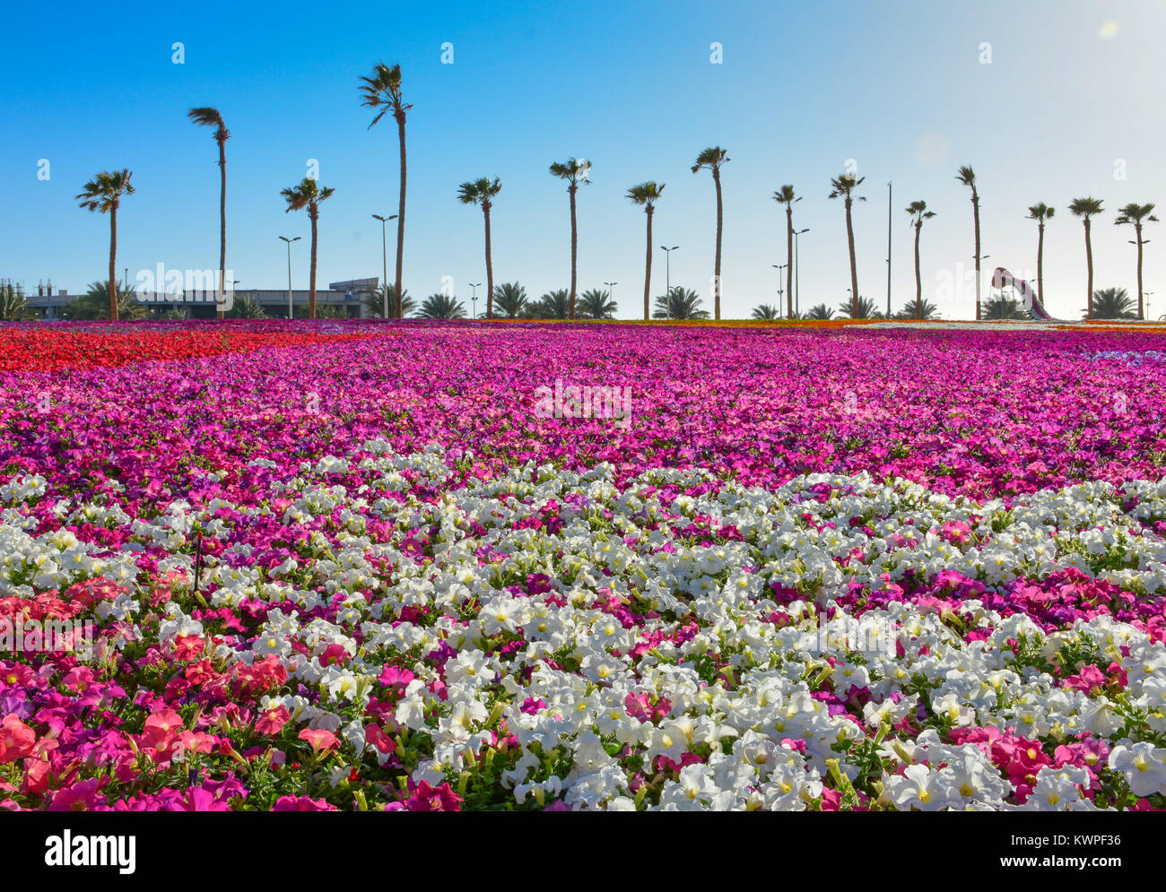 Saudi arabia seamless pattern hi-res stock photography and images - Alamy