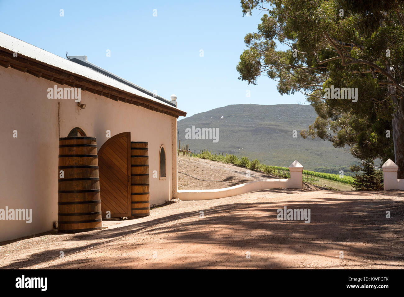 Hamilton russell vineyard hires stock photography and images Alamy
