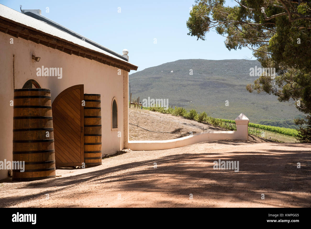 Hermanus, Western Cape South Africa. December 2017. Hamilton Russell