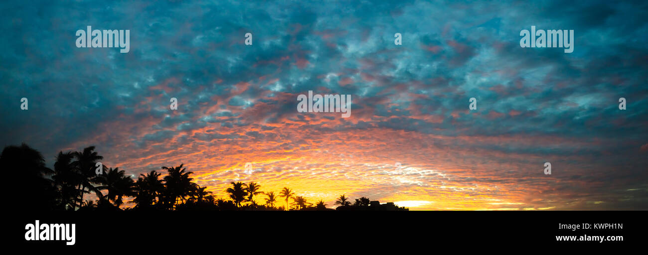 Panorama sunset golden hour with colored sky and palm trees as background Stock Photo