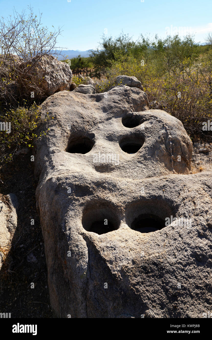 Grinding stones used by early Native Americans to prepare food are located at Mendoza Canyon, Coyote Mountains Wilderness Area, Sonoran Desert, Arizon Stock Photo