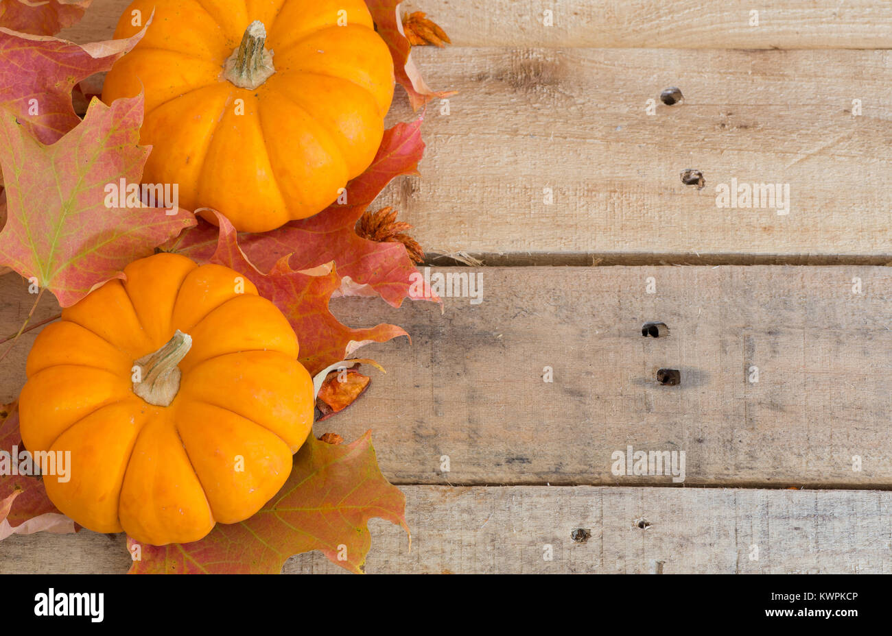Two pumpkins with colorful fall leaves on wood background Stock Photo ...