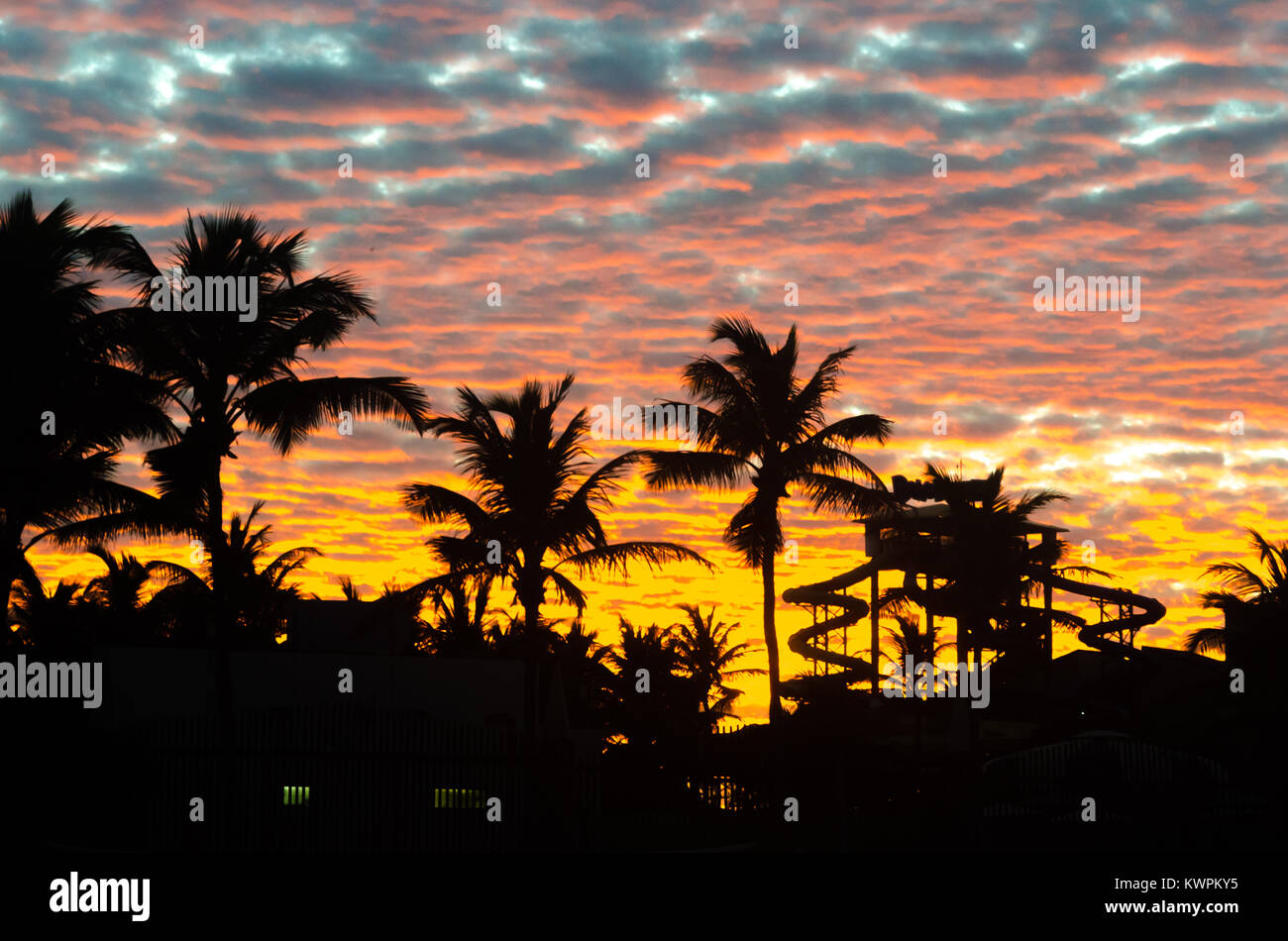 Sunset golden hour with colored sky and palm trees as background Stock Photo