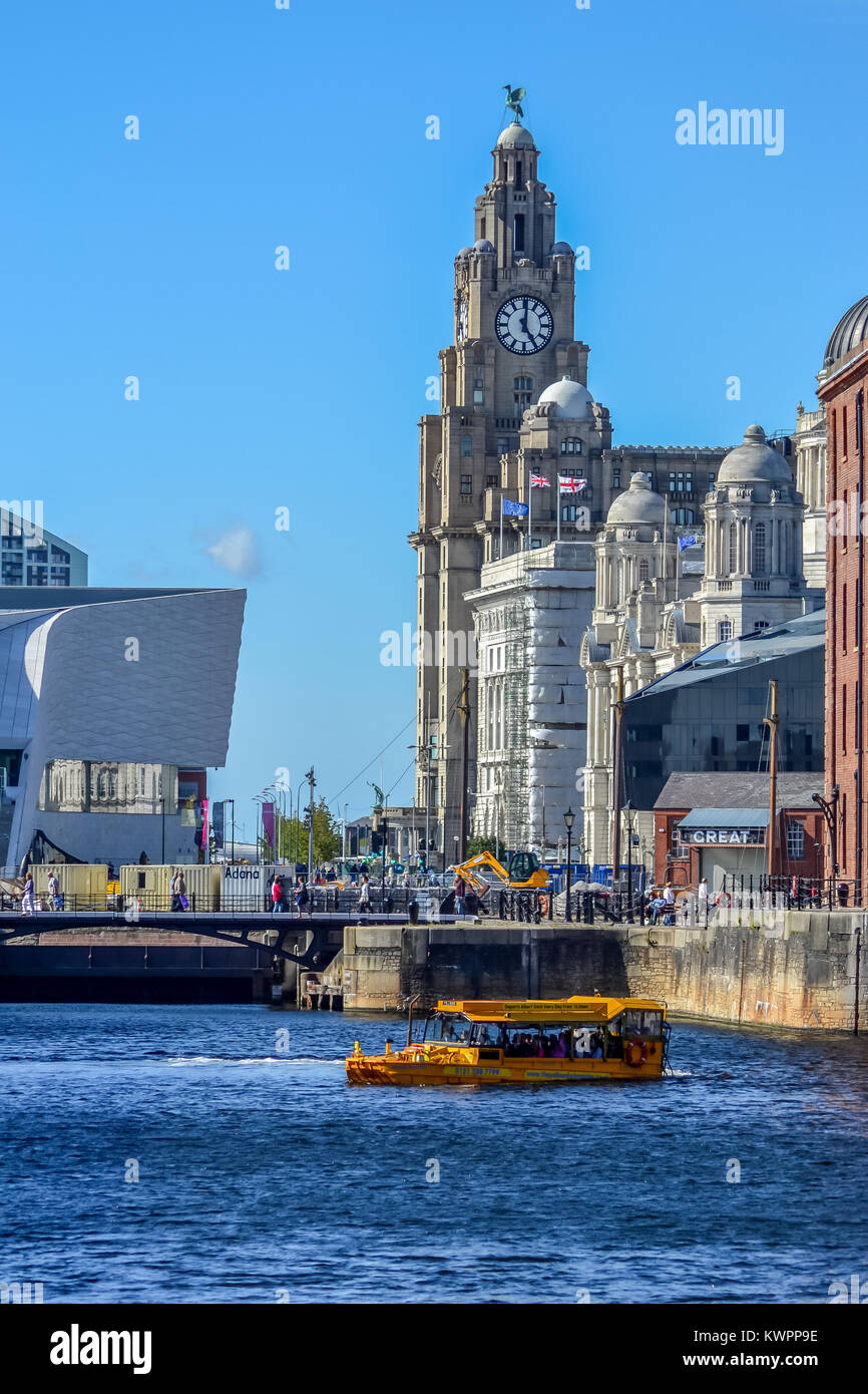 Royal Liver Building and Albert Docks, Liverpool, Merseyside, England, United Kingdom, Europe Stock Photo