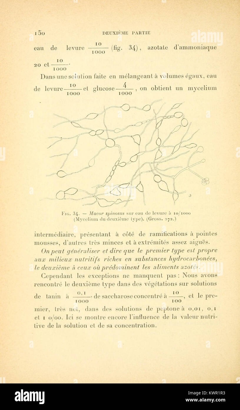 19th century biology text hi-res stock photography and images - Alamy