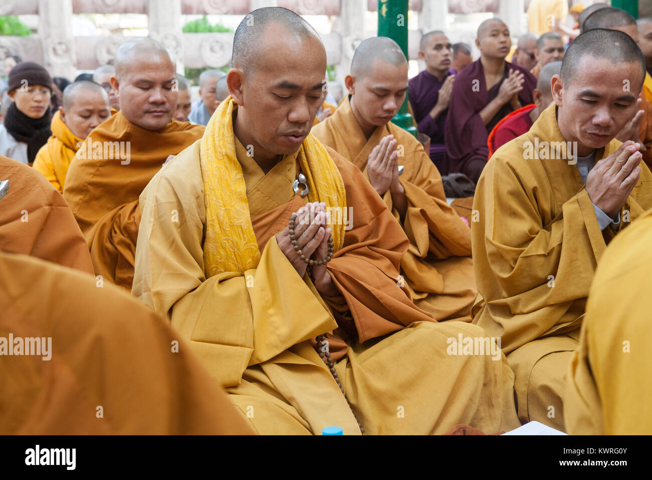 Monks praying at the foot of the Bodhi tree (where the Buddha is said to have gained enlightenment) at the Mahabodhi Temple in Bodhgaya, India Stock Photo