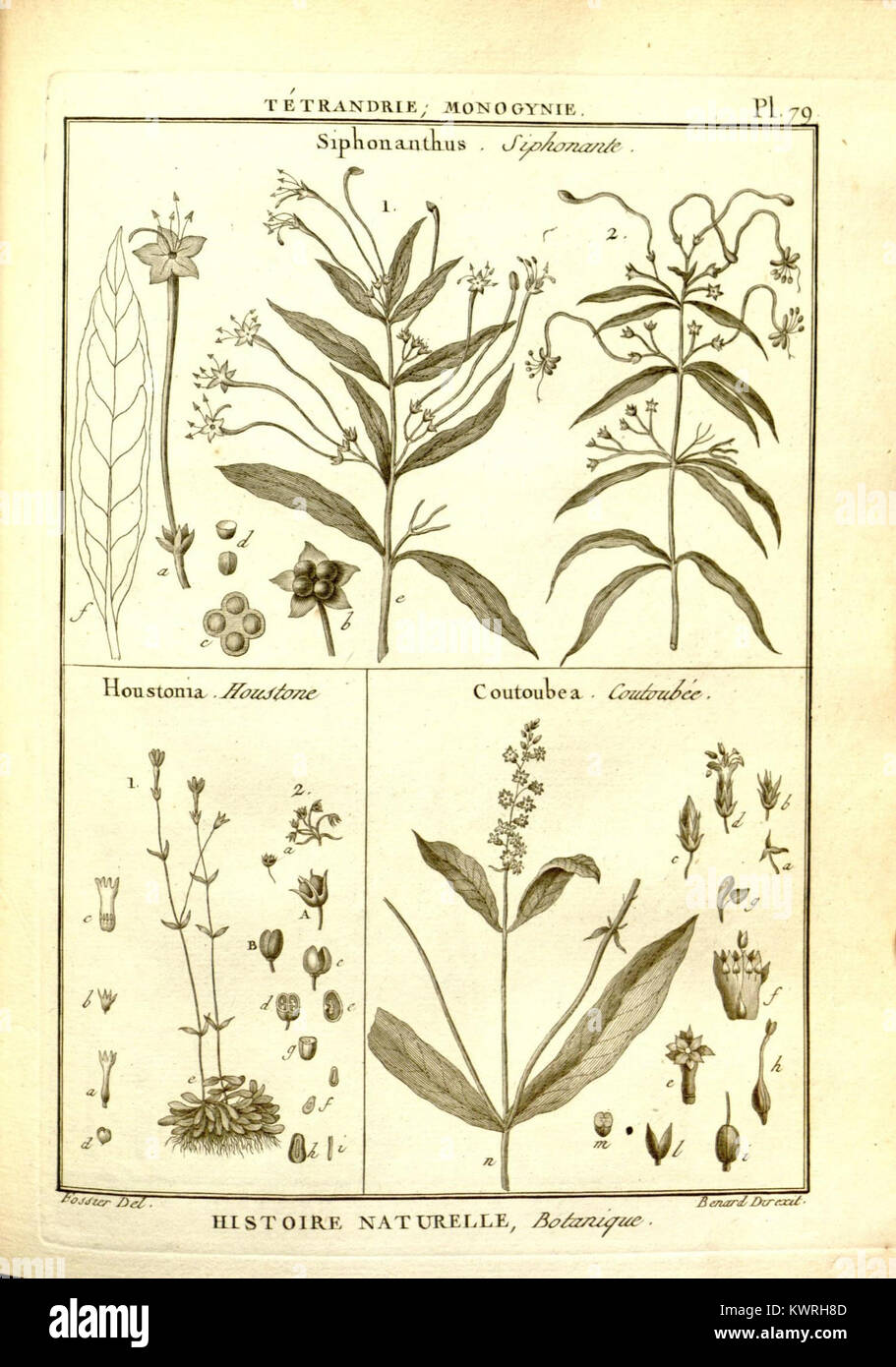 18th century illustration reference hi-res stock photography and images ...