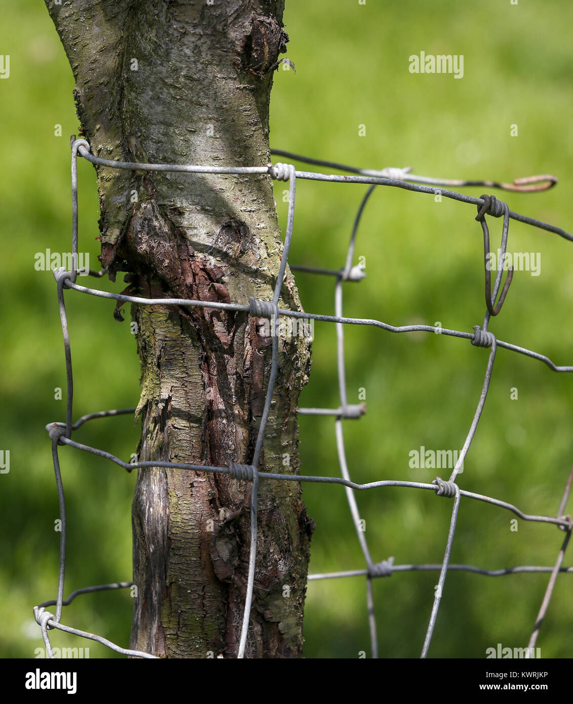 Aspen Properties High Resolution Stock Photography and Images Alamy