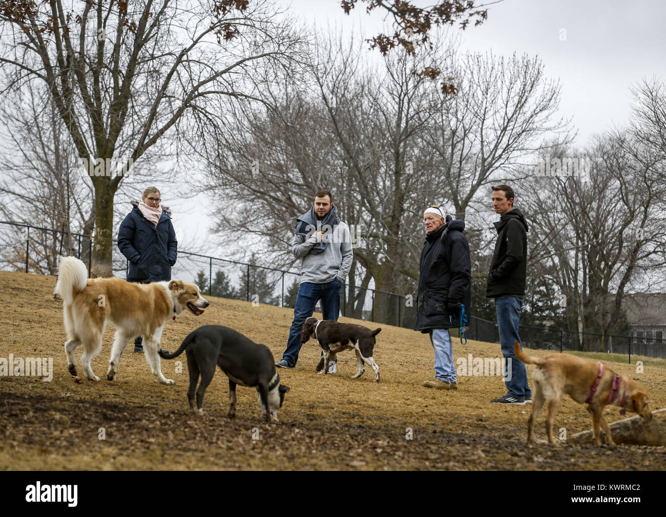 Dog park from left kristin hires stock photography and images Alamy