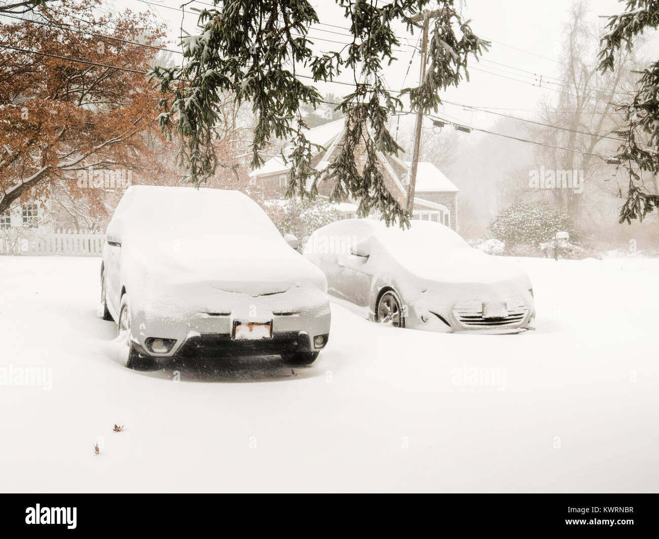 Chappaqua, NY, USA. 4th Jan, 2018. Winter storm Grayson, a bomb cyclone blizzard (named by meteorologists for a sharp atmospheric pressure drop) hit the East Coast with whiteout conditions, freezing cold temperatures, up to a foot of snow forecast as snowfall continues. New York Gov. Andrew Cuomo declared a state of emergency in Westchester County where wind gusts of 50 mph were recorded this morning. Snow day for schools and businesses closed due to the snowstorm. Hurricane force winds up to 80 mph are forecast as snow storm gets worse. Credit: © 2018 Marianne Campolongo/Alamy Live News. Stock Photo