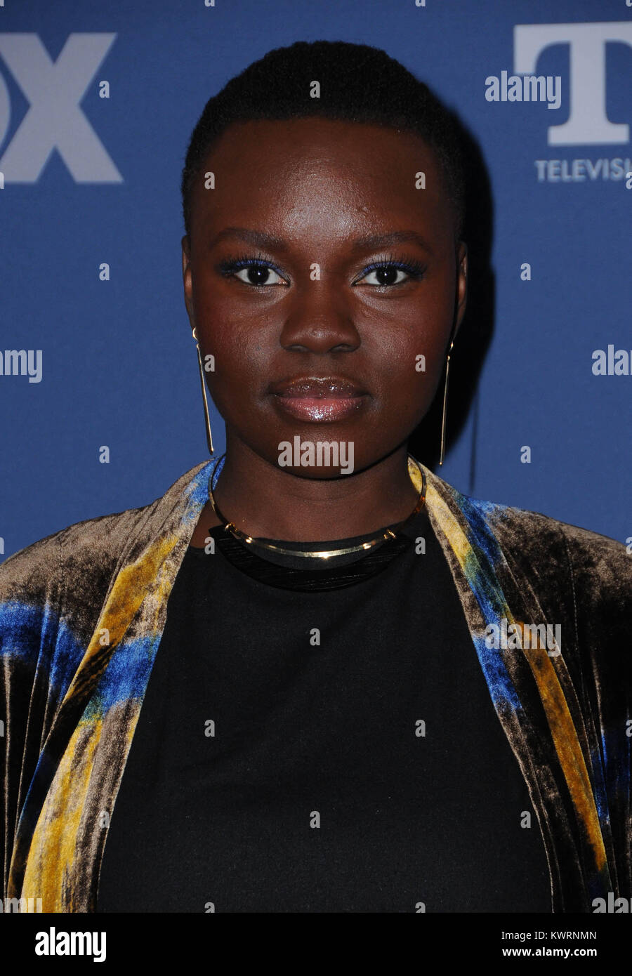 Shaunette Wilson’s Instagram, Twitter & Facebook on IDCrawl