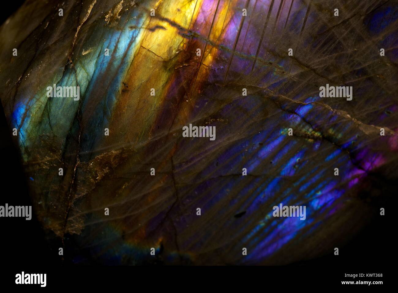 Macro Abstract Photo of Labradorite Geological Sample Displaying Colourful Labradorescence